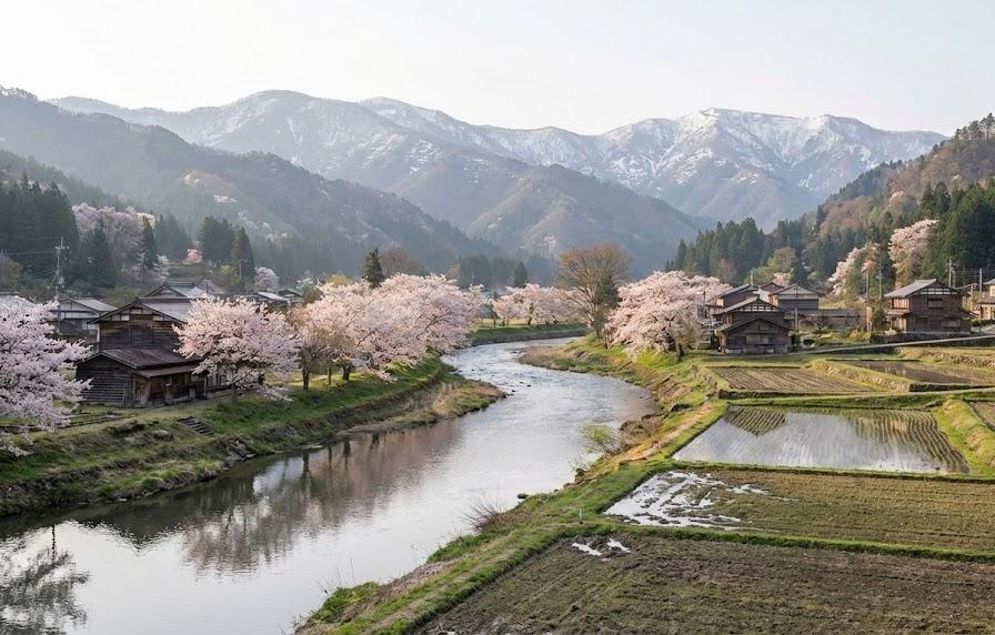 『彼岸過迄』：平穏な日常に潜む孤独の影