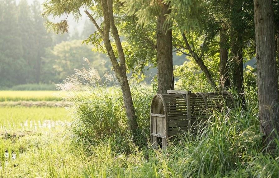 効果を最大にするイタチの罠設置場所とコツ