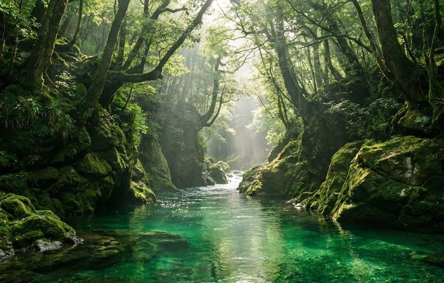 最高効率で狙えるおすすめの厳選場所